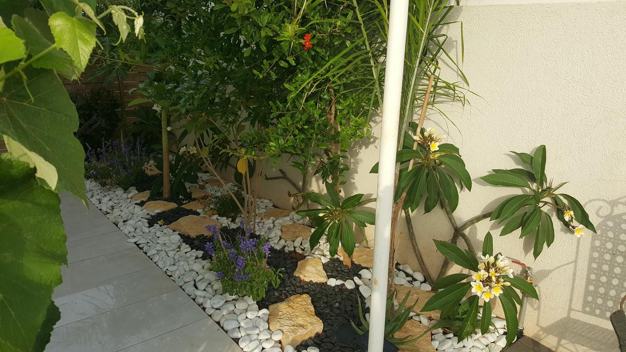 Regina'S Place Or Akiva Extérieur photo