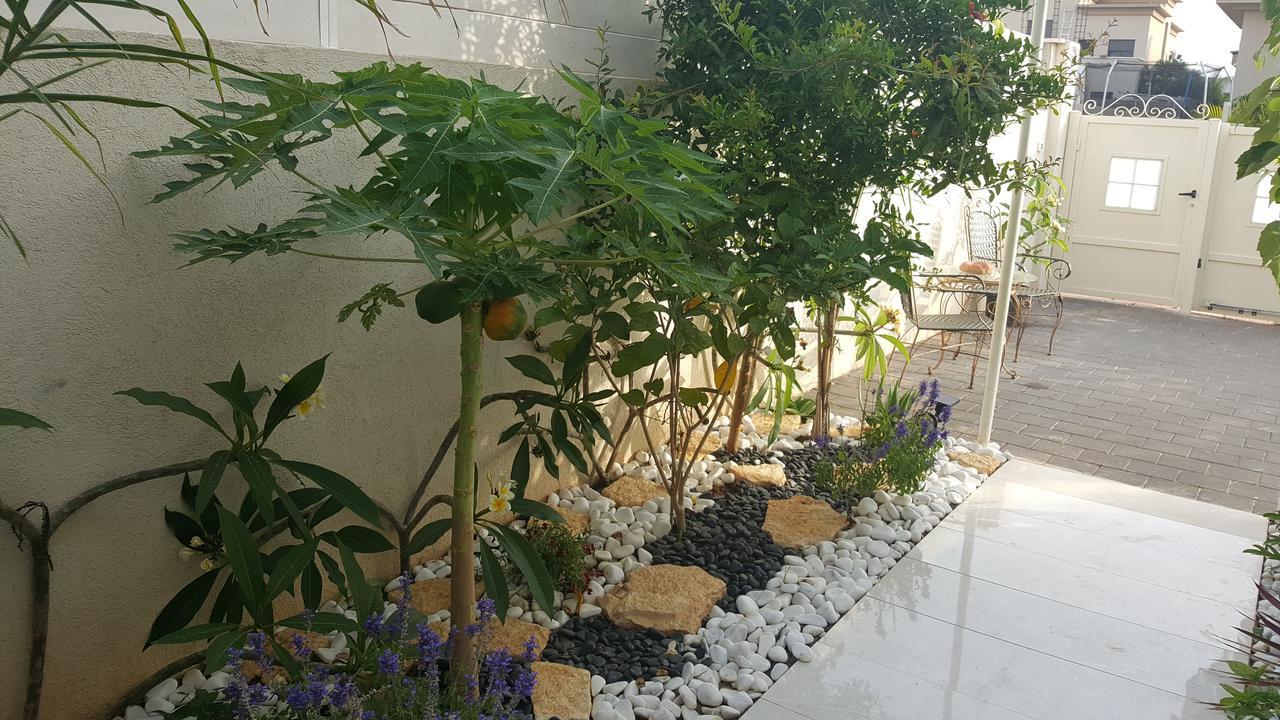 Regina'S Place Or Akiva Extérieur photo
